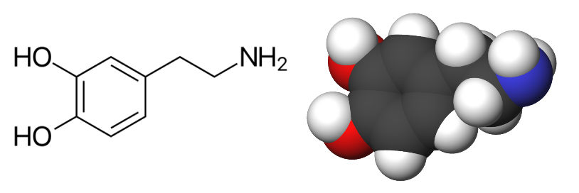 Дофамин милано. Дофамин структурная формула. Дофамин 50 мг. Химическая формула дофамина. Молекула дофамина.